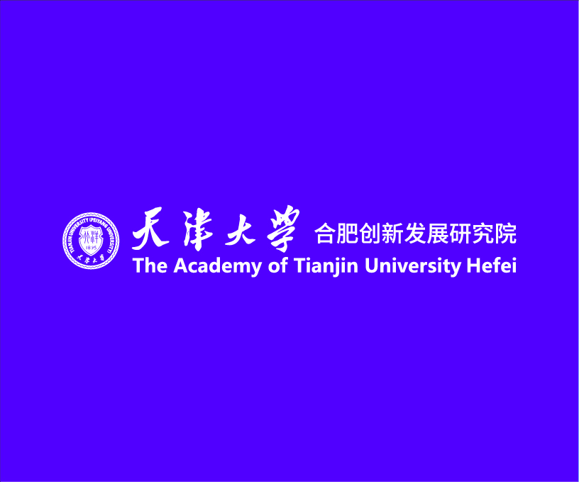 天津大学 合肥创新发展研究院